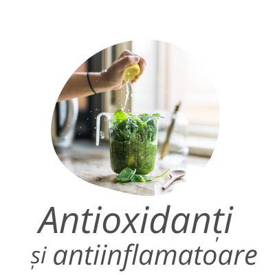 categoria antioxidanti
